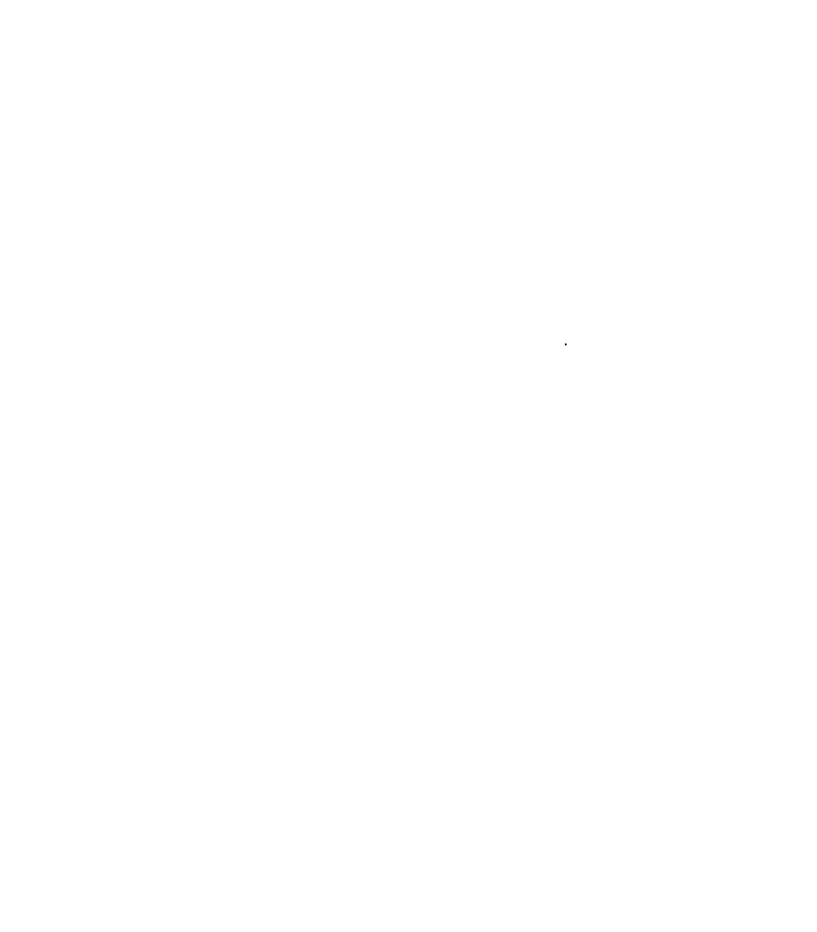 pati janina art